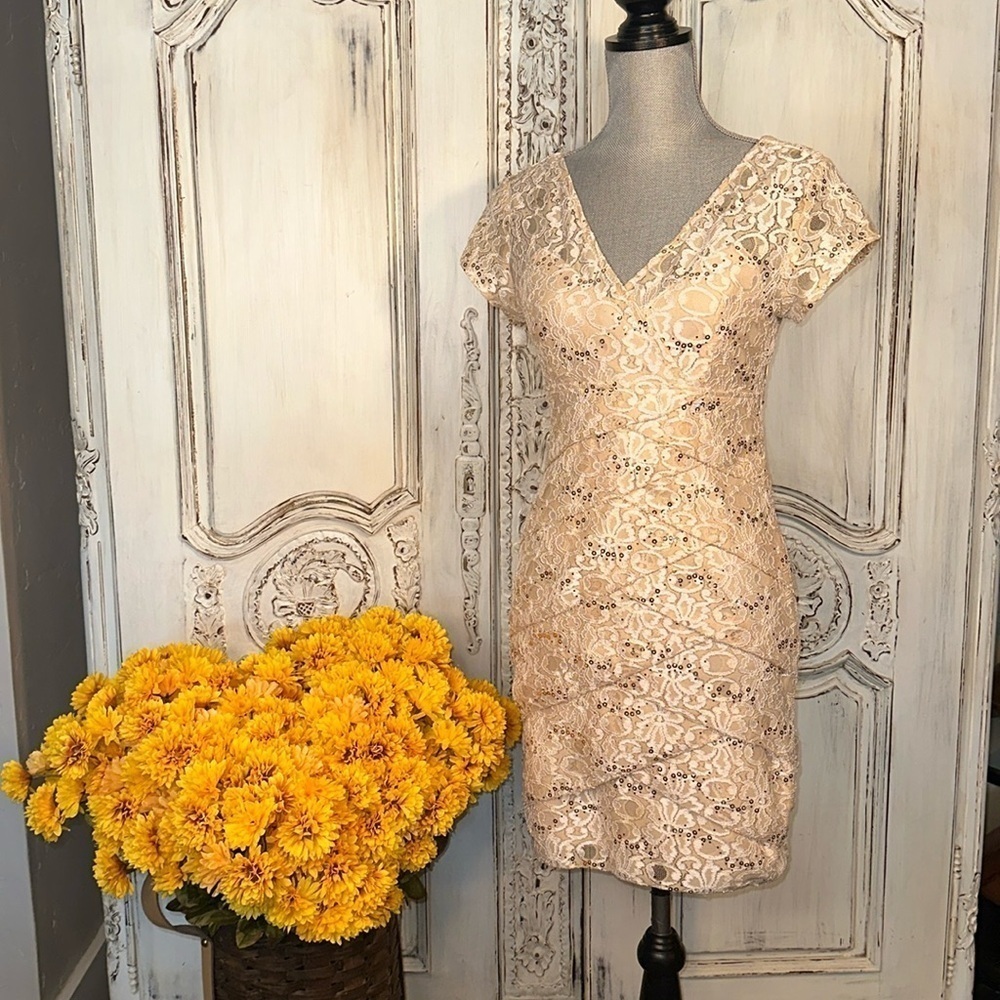 Scarlett Tan Lace and Sequins Short Sleeve Special Occassion Party Dress Size 6